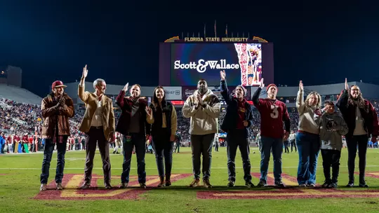 Scott & Wallace Football Recognition
