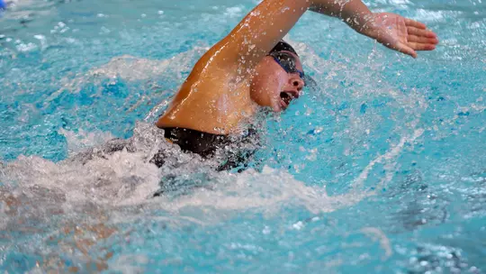 Dual Meet Tournament vs. Minnesota