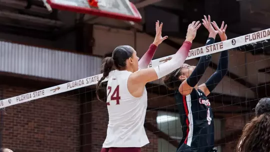 VB vs. Louisville