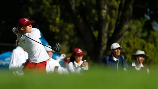 Elin for Darius Day 1