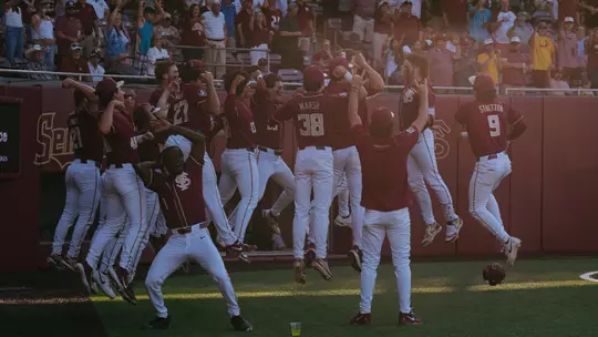 Home Run Celebration