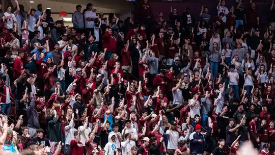 Men's Basketball Crowd vs. Virginia