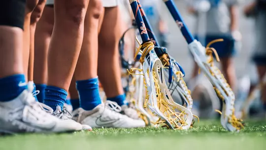 Gators Welcome Seven Newcomers to 2021-22 Class