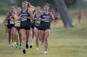 TUCSON, ARIZ. -- Cross Country competes in the Dave Murray Invitational at Tucson Country Club.Sept. 30, 2022. Photo by Mike Christy / Arizona Athletics