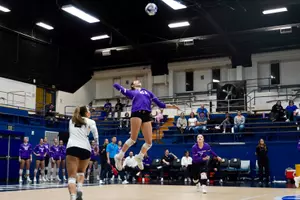 nunez attack at SJSU