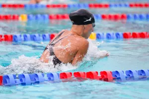stasny breaststroke