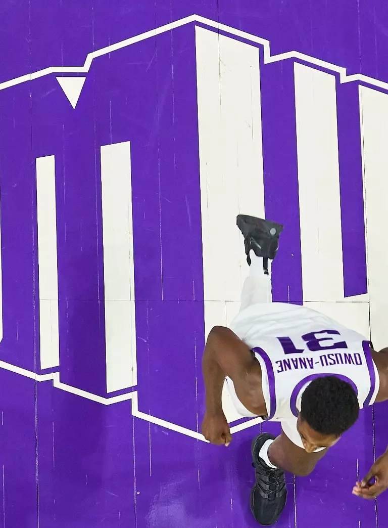 mw logo basketball court