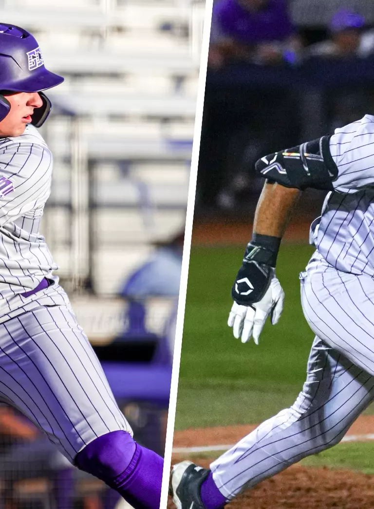 peery schmidt arizona