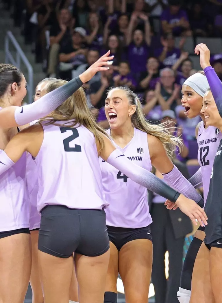 Volleyball celebration