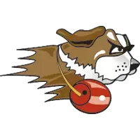 Team Logo