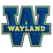 Wayland Baptist University (Texas)Logo
