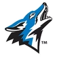 California State University, San Bernardino Logo