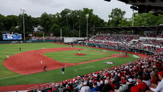 Fans during Georgia's game against Liberty in the 2026 DI Baseball Championship Athens Regional at Foley Field in Athens, Ga., on Sunday, May 31, 2026. (Conor Dillon/UGAAA)
