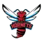 Delaware State University Logo