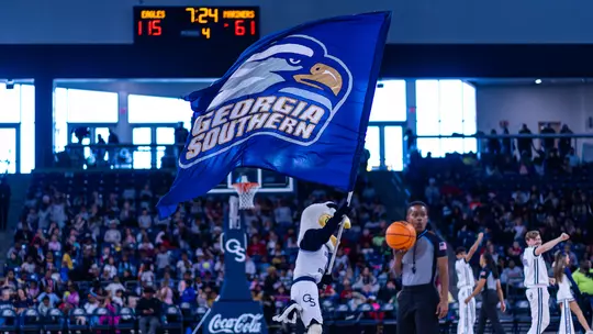 Stock Basketball