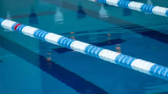 Swim & Dive Stock