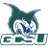 Georgia College