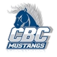 Central Baptist College Logo