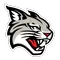 Davidson College Logo
