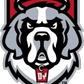 D'Youville Logo 2026-27