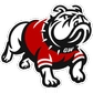 Gardner-Webb University Logo