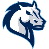 Mercy College