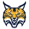 Quinnipiac Sidearm Logo