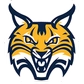 Quinnipiac Sidearm Logo