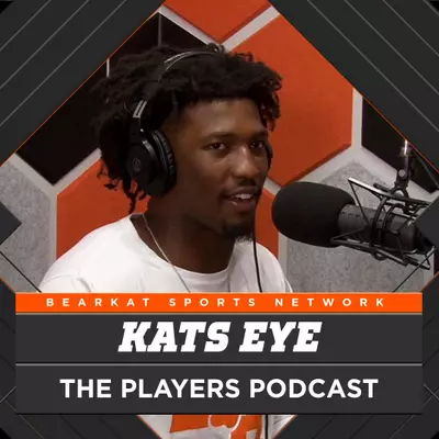 Podcast Image