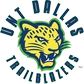 UNT Dallas Logo