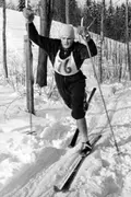 Oddvar Helgesen