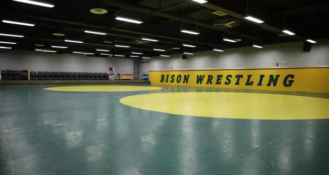 Wrestling mats