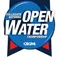 CSCAA logo
