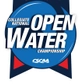 CSCAA logo