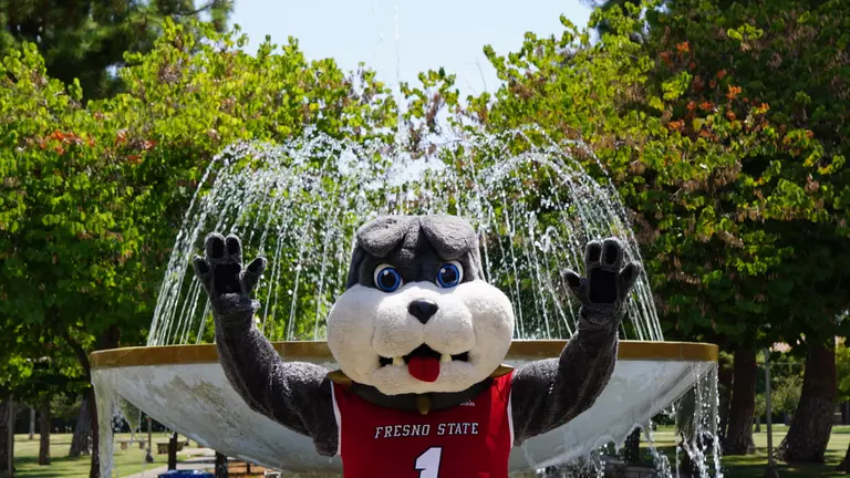 Fall Academic All-MW honorees named