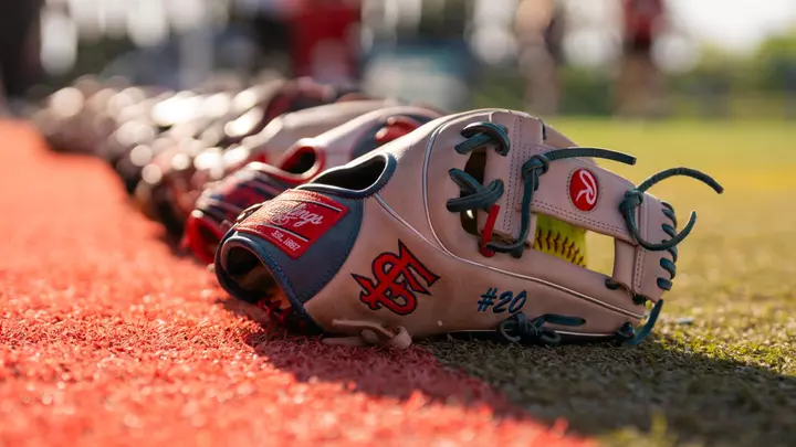 Softball Gloves