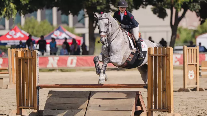 Isabella Bertozzi, fences