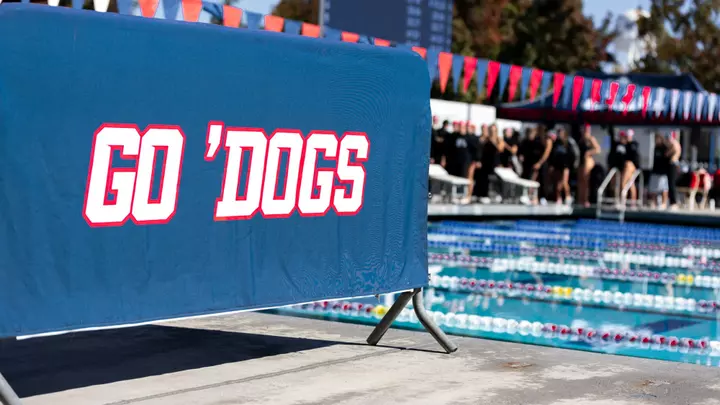 Go Dogs swim banner