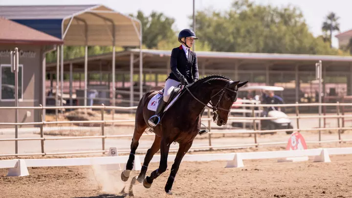 Sage Lindvall - Flat