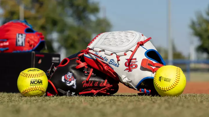 Softball Gloves