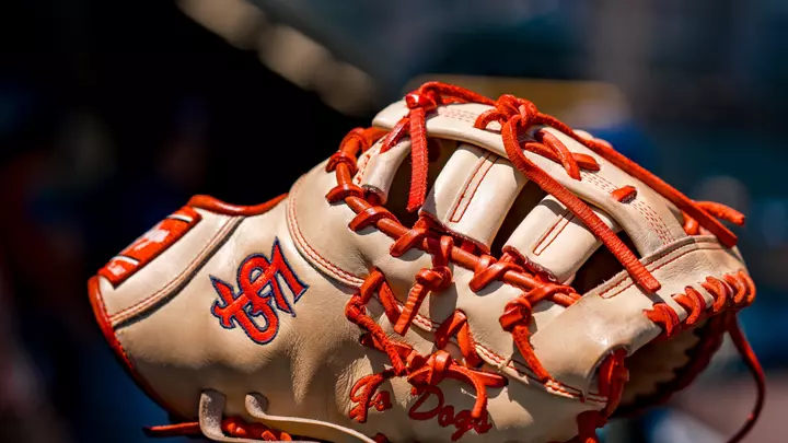 Fresno State baseball glove