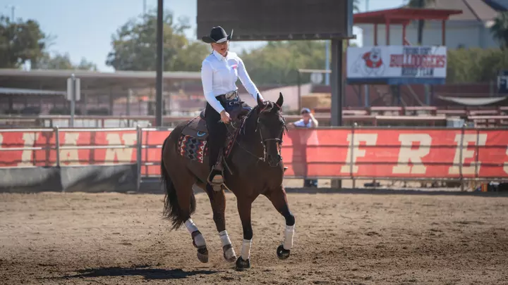 Reining