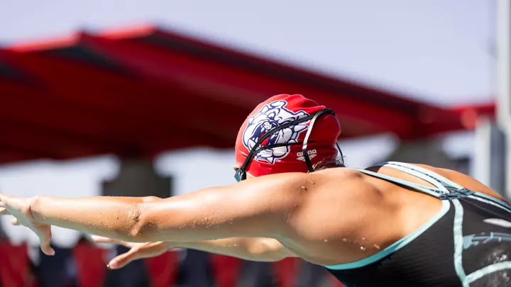 Swimmer diving