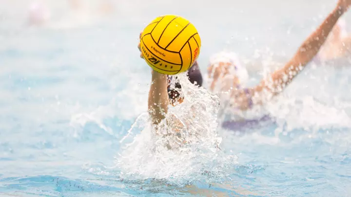 water polo ball