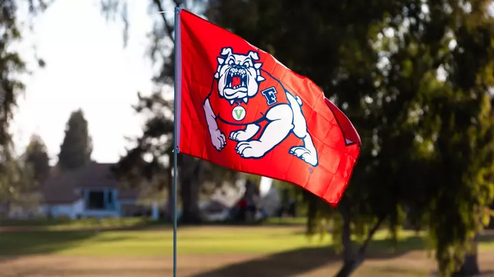 Golf Flag