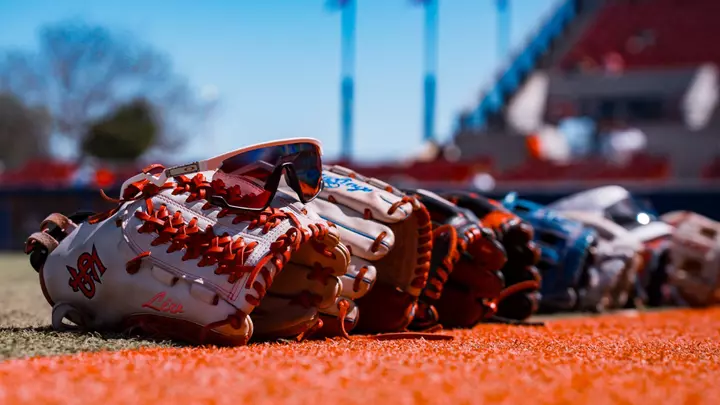 softball gloves
