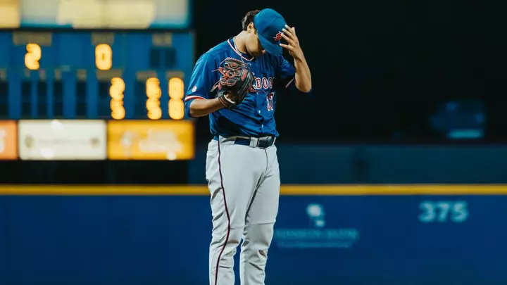 moose on the mound