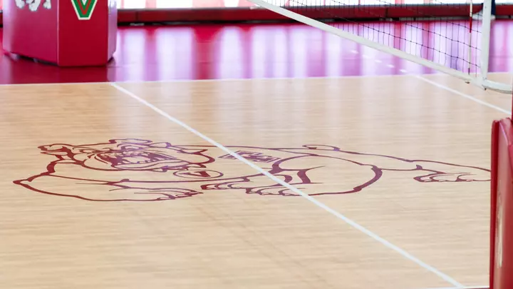 Bulldog on VB court