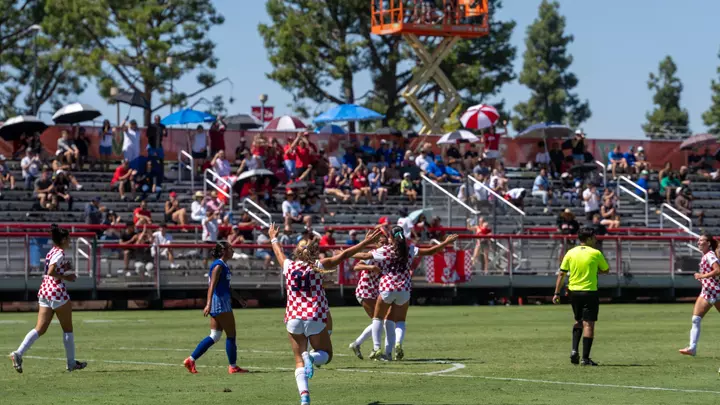 Goal celebration