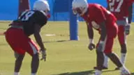 Cardinals Continue Preparations For Upcoming Toyota Gator Bowl